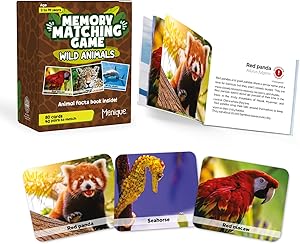 Animal Flash Cards with Real Photos