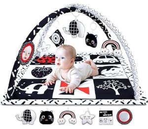 Tiny Love Black & White Gymini Deluxe