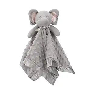 Hudson Baby Plush Security Blanket